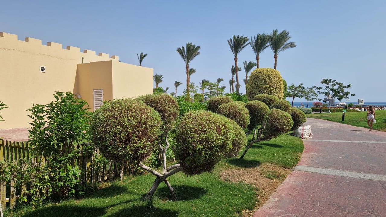 Gartenanlage Cleopatra Luxury Resort Makadi Bay
