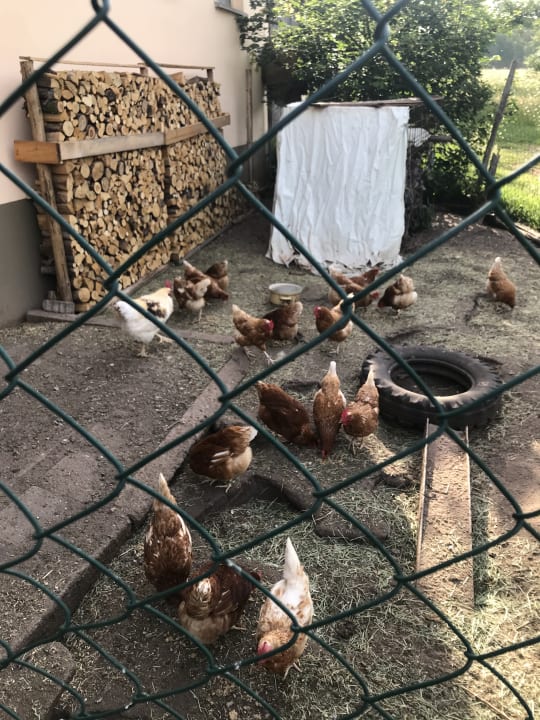 Gartenanlage Ferienhof Lehner am Rothsee