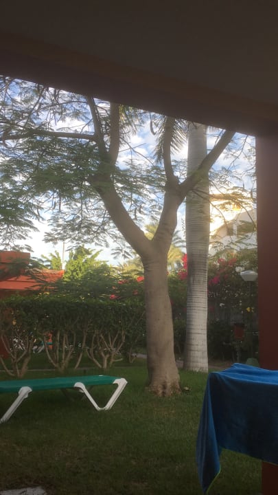 Ausblick Artemisa Gay Bungalows