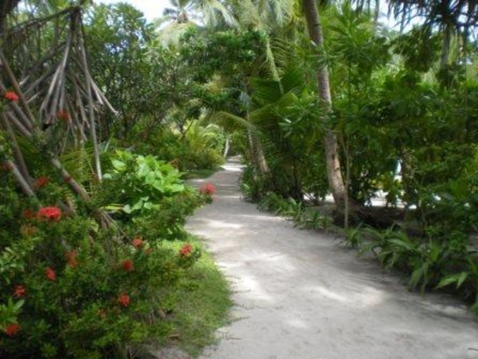 Immer Barfuß Kuramathi Maldives