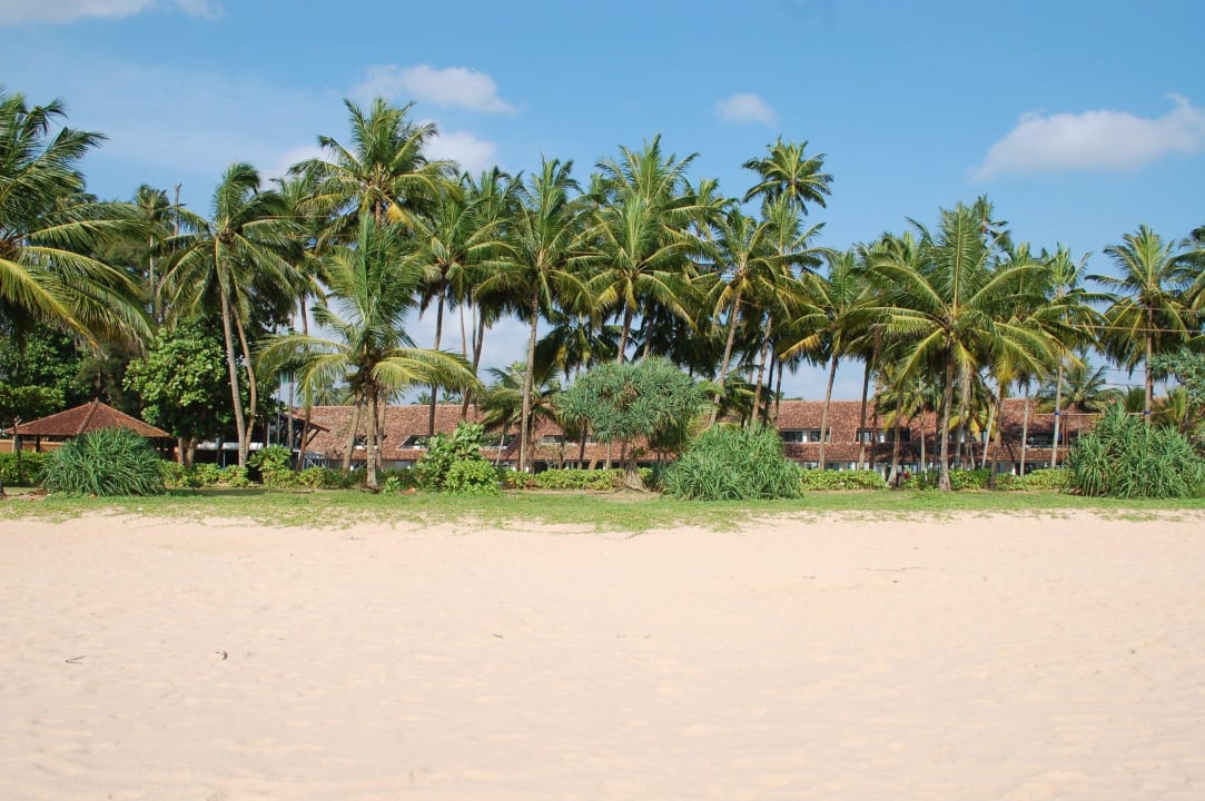 Strand Thaala Bentota
