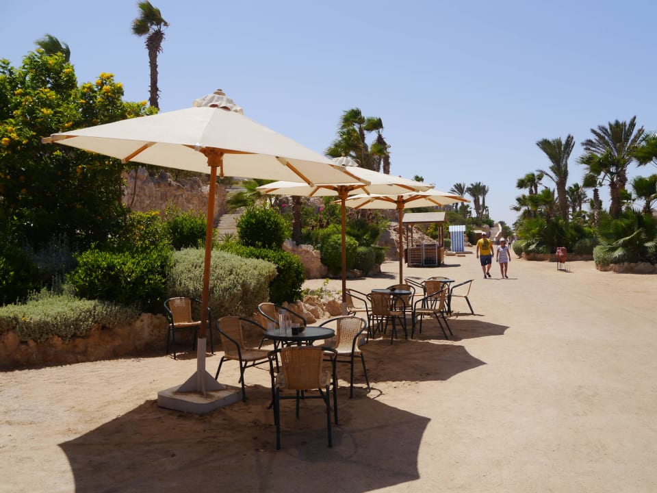 Am Strand Pickalbatros Citadel Resort