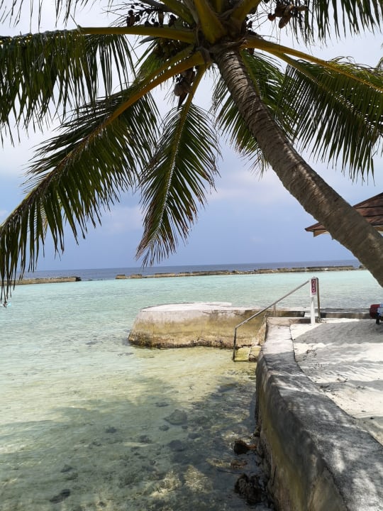 Ausblick Ellaidhoo Maldives by Cinnamon