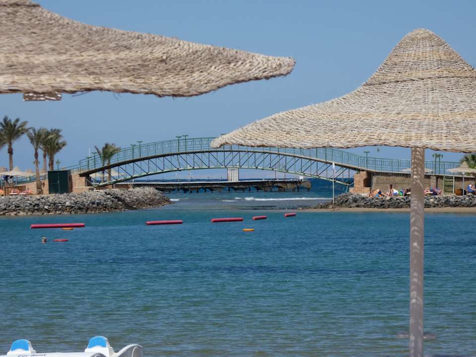 Ausblick Desert Rose