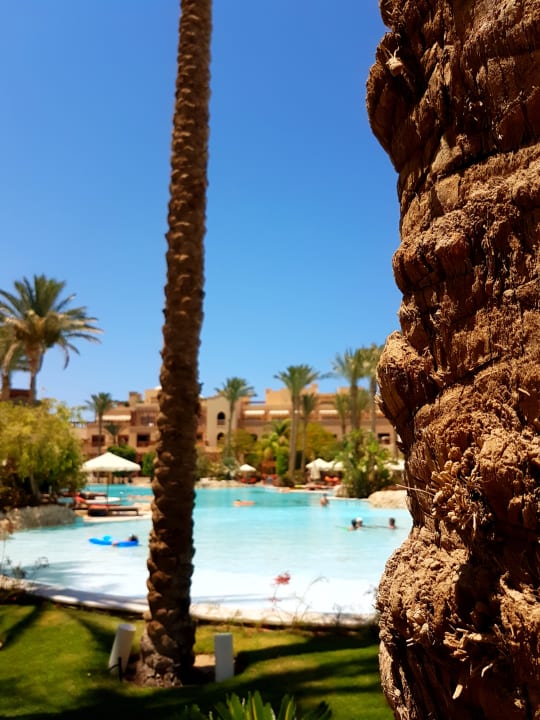 Pool Makadi Spa - Adults only