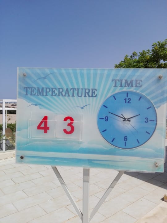 Sonstiges Steigenberger Makadi Hotel - Adults only