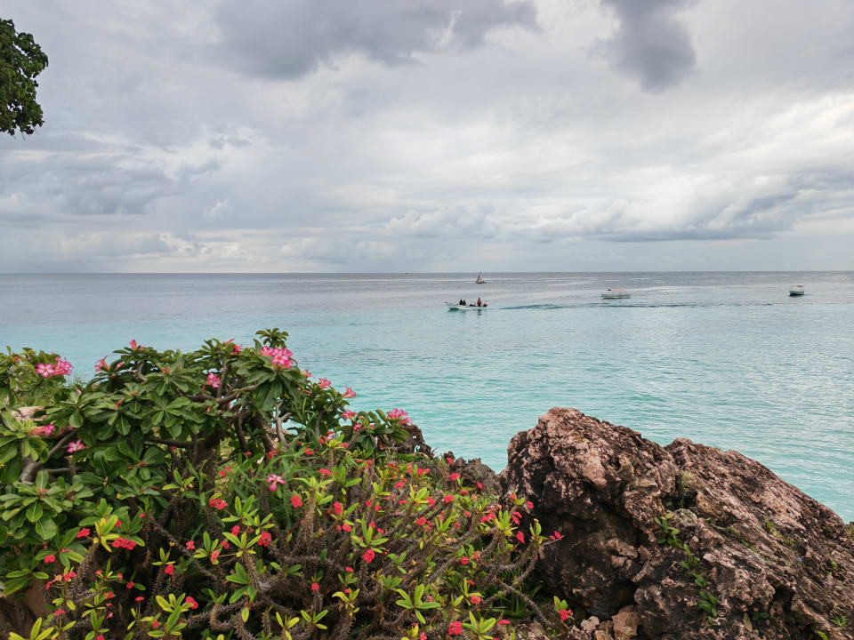 Ausblick Royal Zanzibar Beach Resort