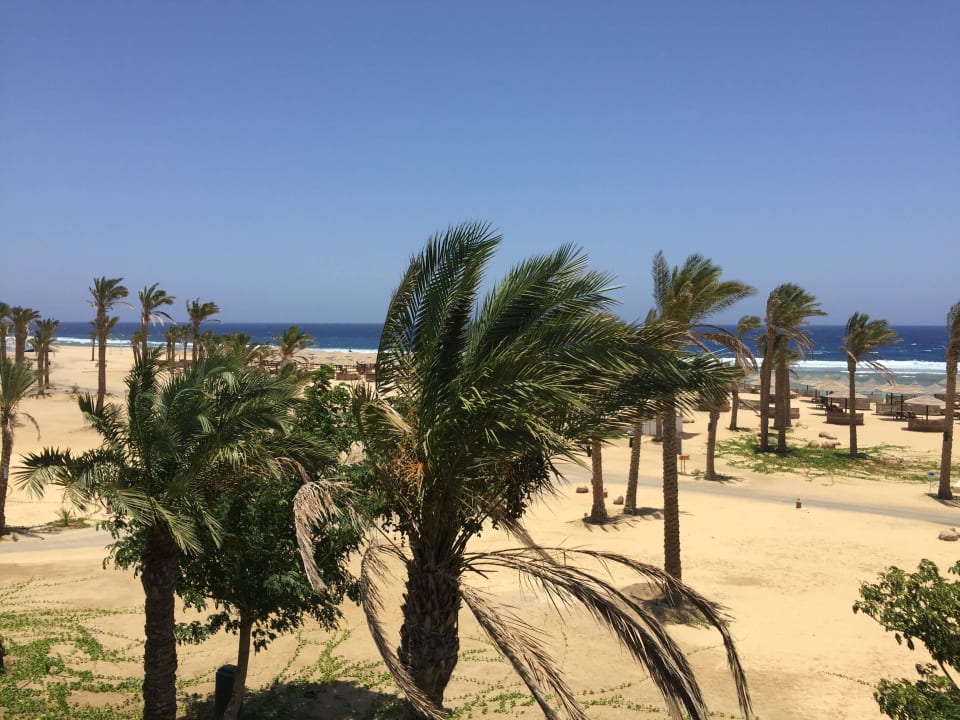 Meerblickzimmer Aussicht  Pickalbatros Sands Hotel - Port Ghalib