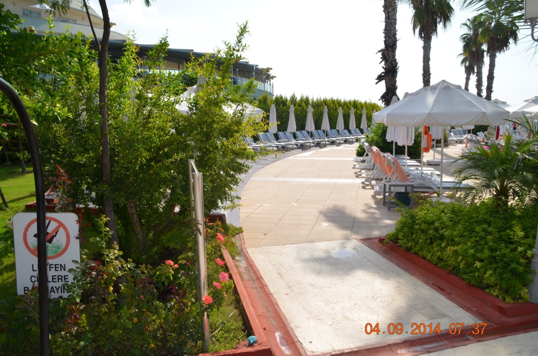 Pool Hotel Delphin Imperial