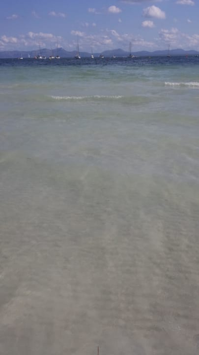 Strand  Alcudia Garden Aparthotel