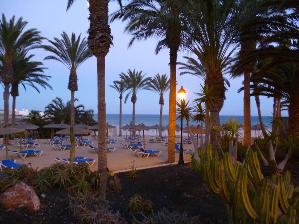 Gartenanlage inkl. Liegen am Abend SBH Costa Calma Beach Resort