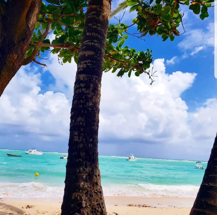 Strand TRS Turquesa Hotel - Adults only