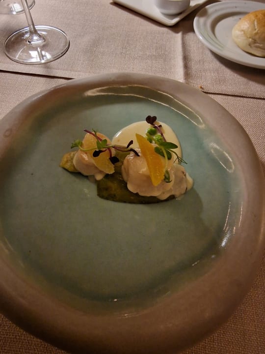 Gastro Lara Barut Collection