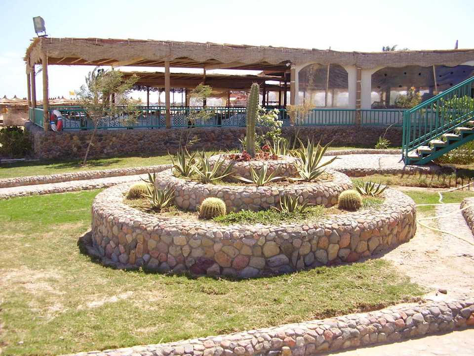 Клумбочка Titanic Beach Spa & Aqua Park