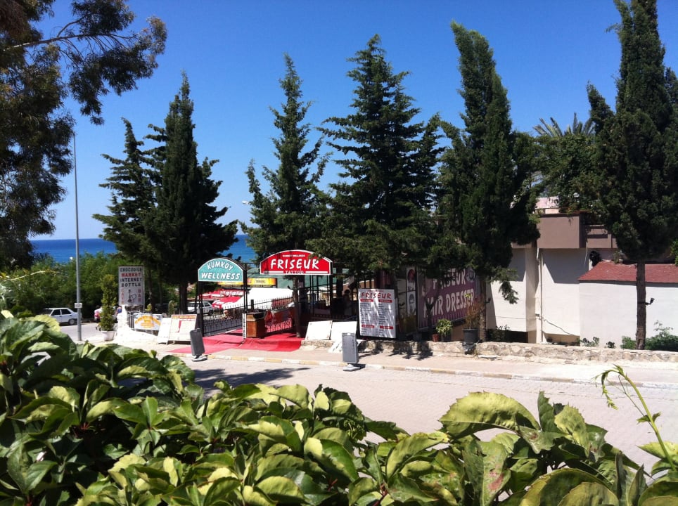 Weltbester Friseur , Ausblick vom Frühstückstisch. Side Alegria Hotel & Spa - Adults only +16