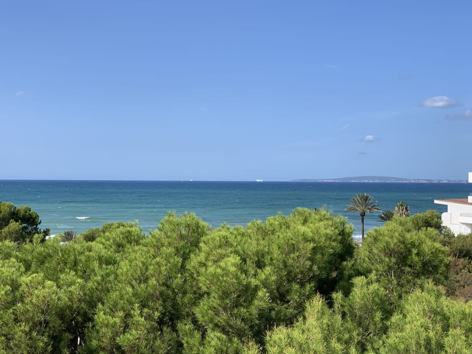 Ausblick Aparthotel Houm Plaza Son Rigo