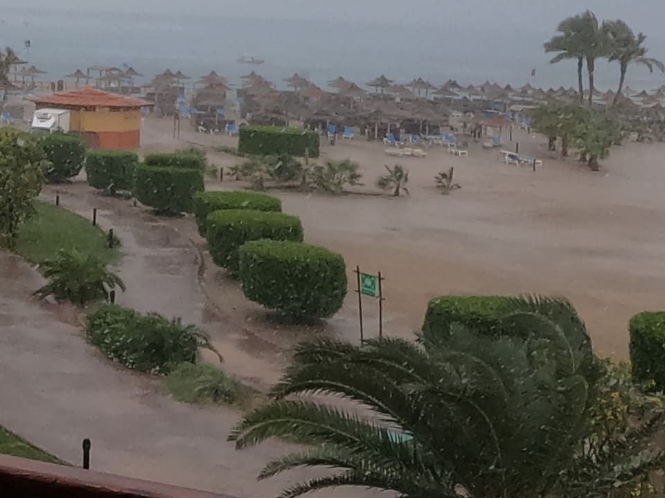 Ausblick Malikia Resort Abu Dabbab