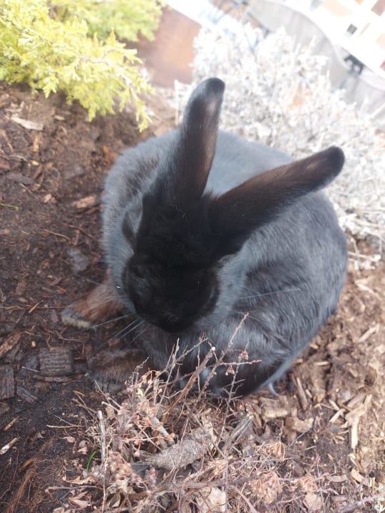 Sport & Freizeit Alphotel Tyrol