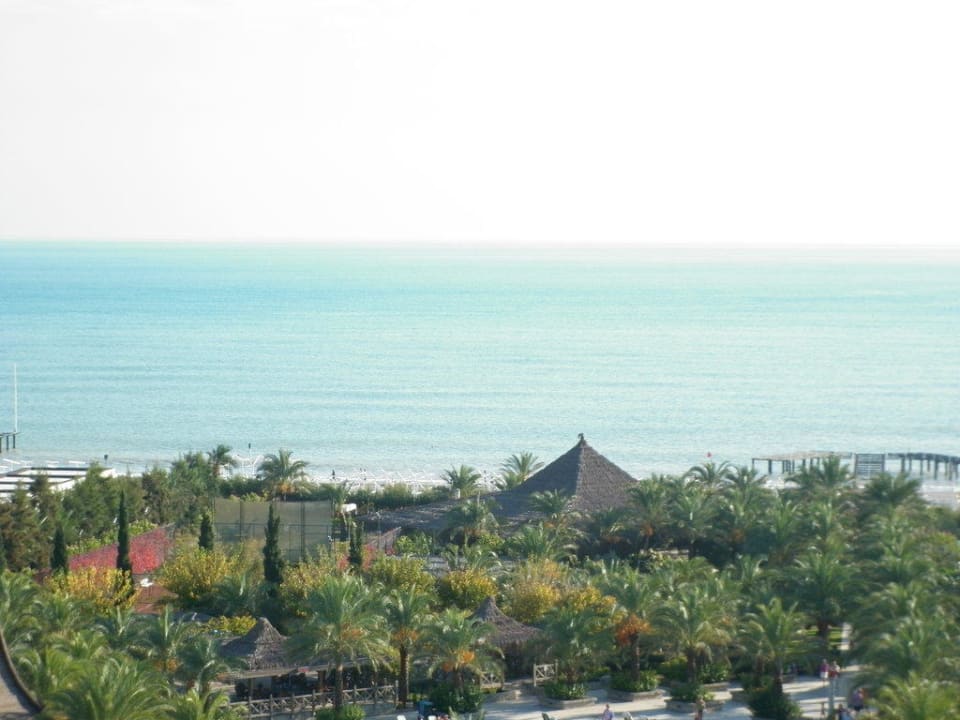 Schöner Ausblick Royal Wings Hotel