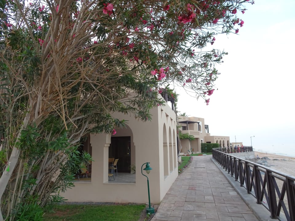 Sonstiges Miramar Al Aqah Beach Resort