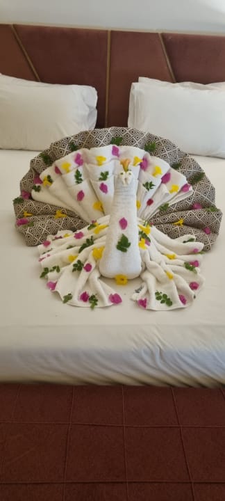 Zimmer Stella Beach Resort & Spa Makadi Bay