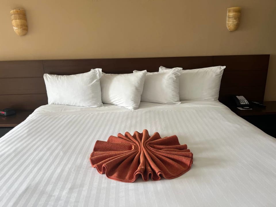 Zimmer Hotel Flamingo Cancun Resort