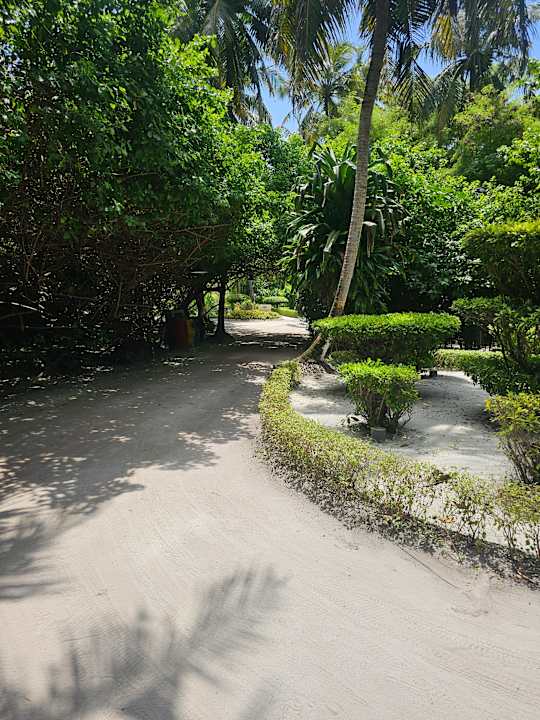 Gartenanlage Adaaran Select Meedhupparu Island Resort - Premium All Inclusive