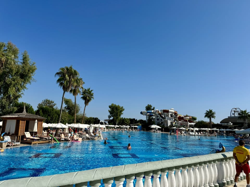 Pool Hotel Delphin Imperial