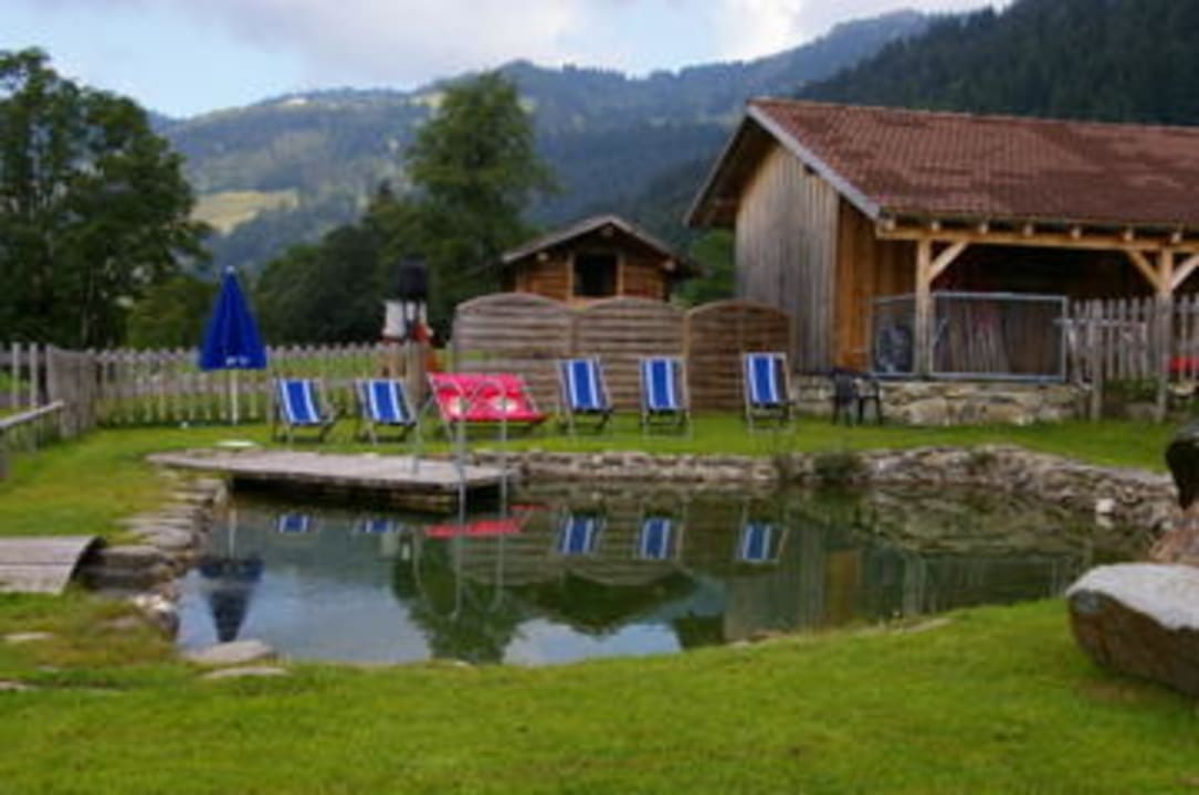 Badeteich schön und sauber Gasthof Schwabenhof