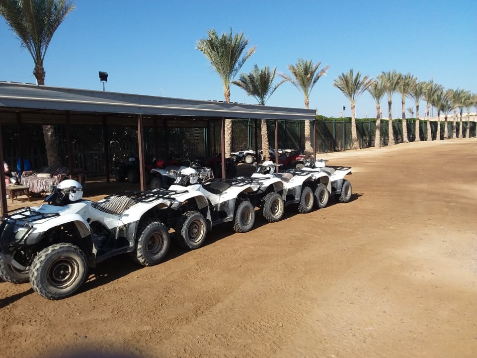 Sport & Freizeit Jaz Dar EL Madina