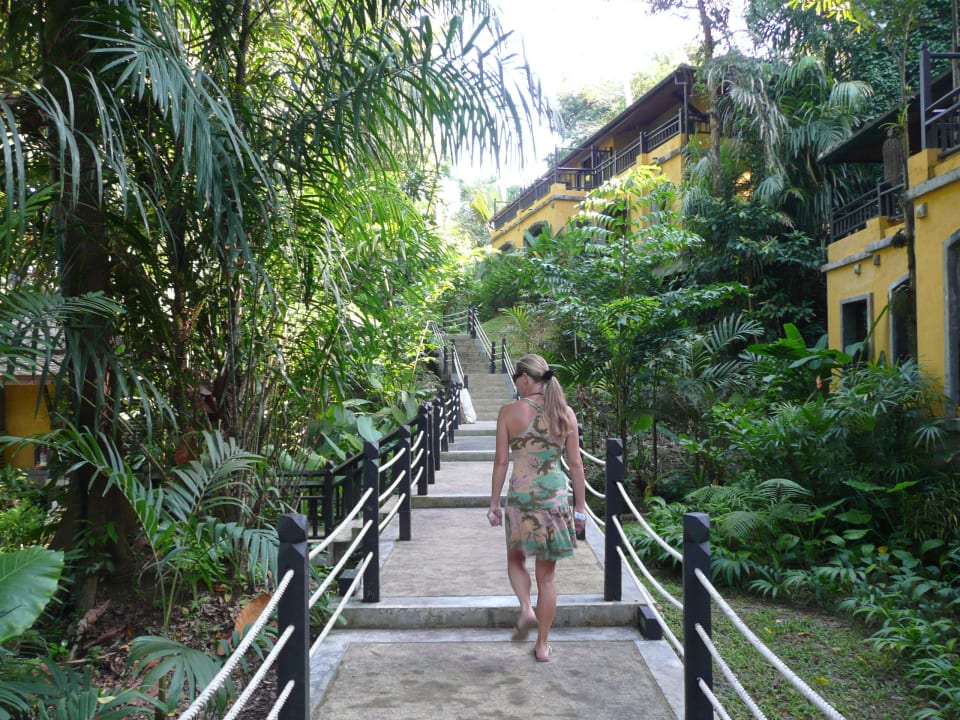 Weg zum Restaurant (wie ein botanischer Garten) Moracea by Khao Lak Resort