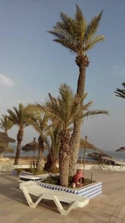 Strand  mit Palmen Hotel El Mouradi Djerba Menzel
