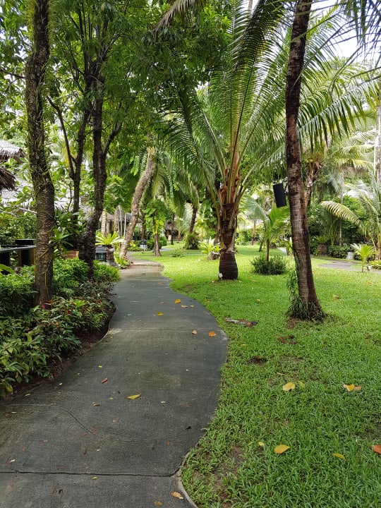 Gartenanlage Centara Koh Chang Tropicana Resort