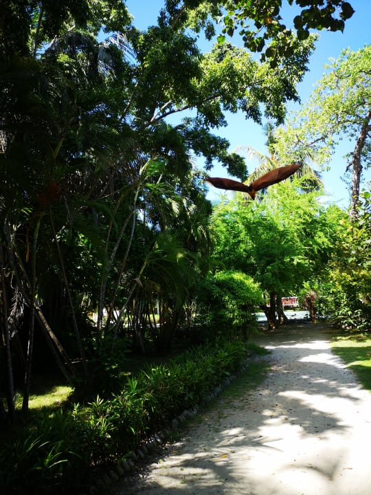 Gartenanlage Ellaidhoo Maldives by Cinnamon