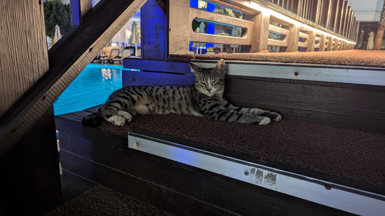 Sonstiges Alba Queen Hotel