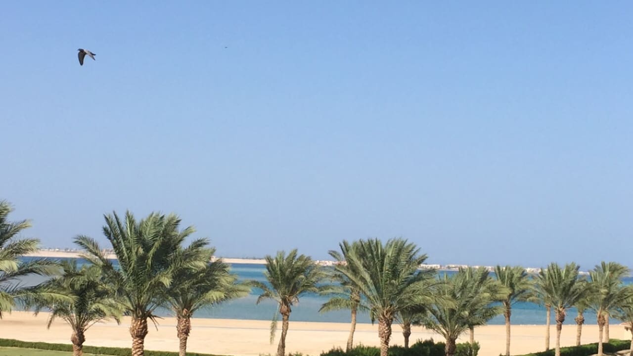 Ausblick Palm Royale Resort - Soma Bay