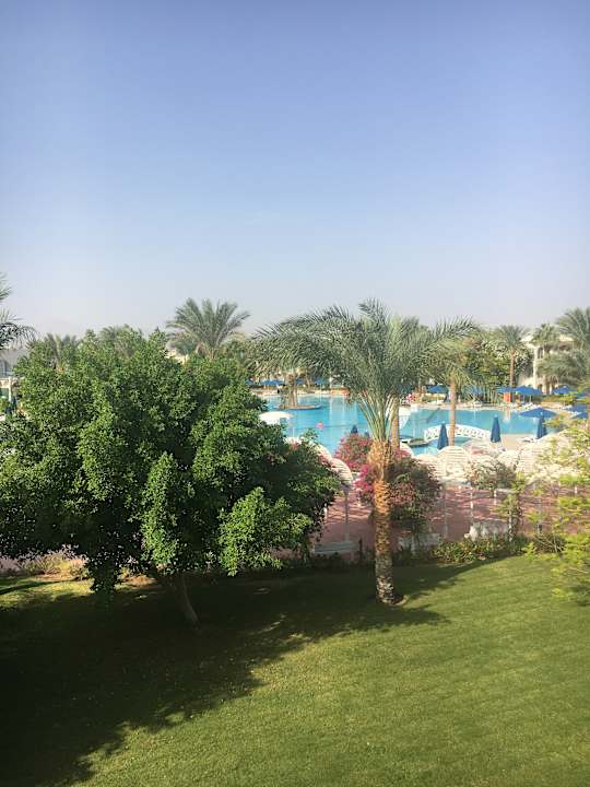 Ausblick Desert Rose