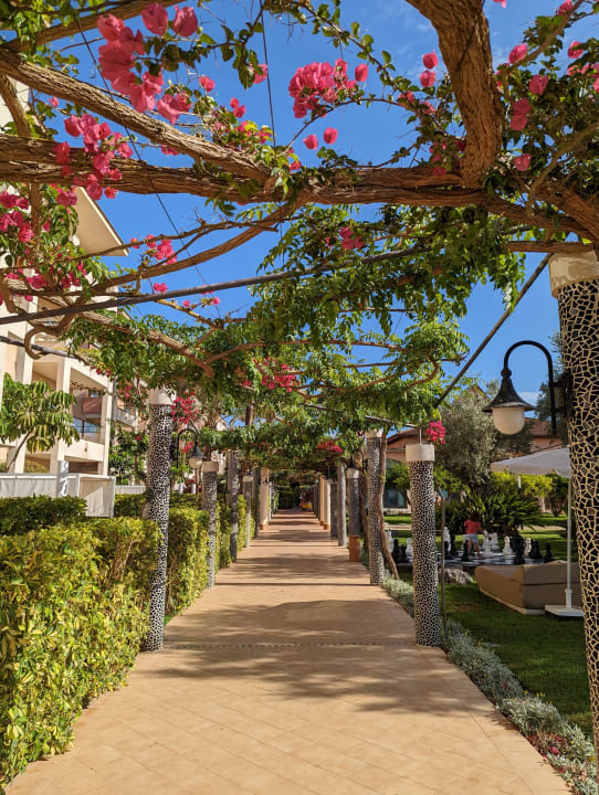 "Gartenanlage" VIVA Blue & Spa (Platja de Muro / Playa de Muro