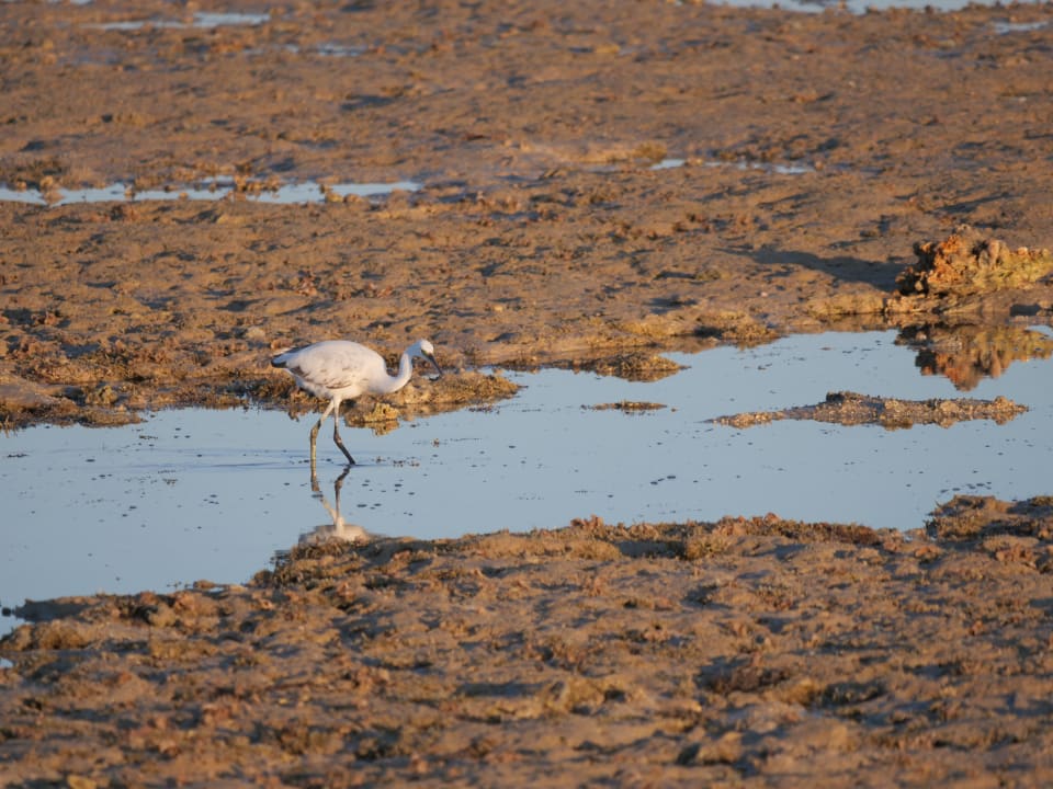 Ausblick Stella Garden Resort & Spa, Makadi Bay