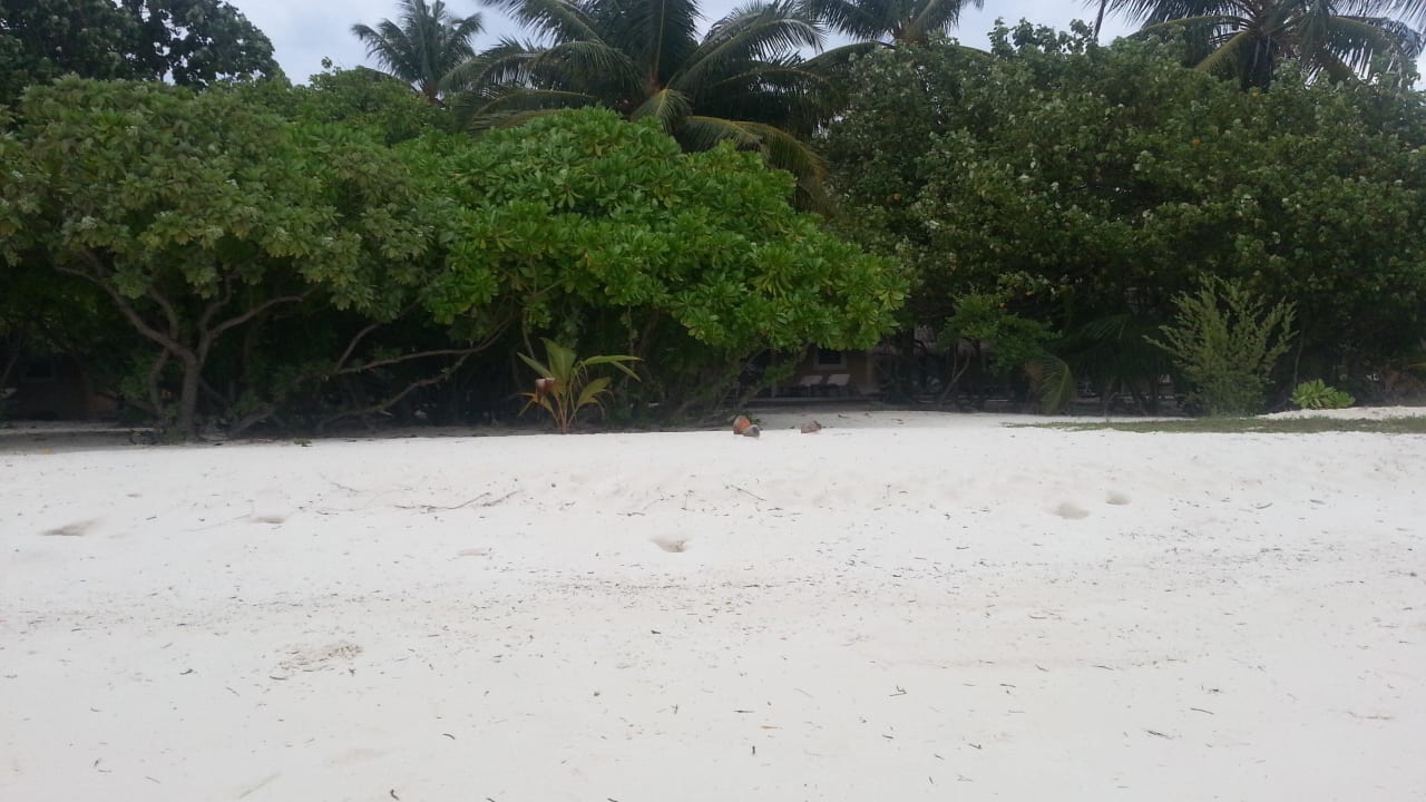 Vor unserem Bungi Kuredu Island Resort & Spa