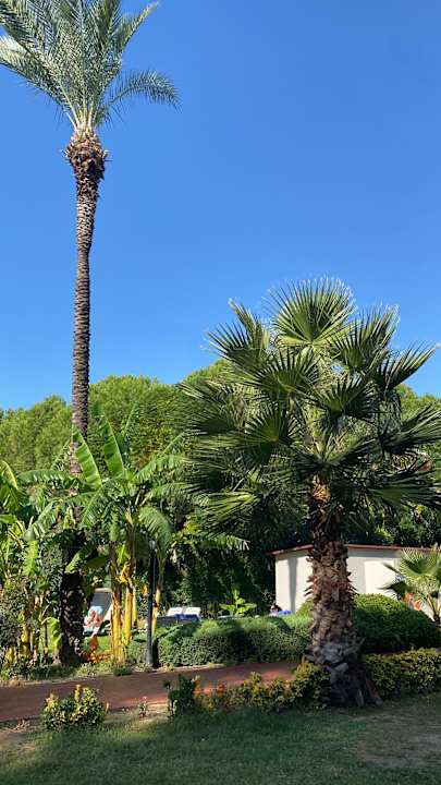 Gartenanlage Sunis Elita Beach Resort & Spa