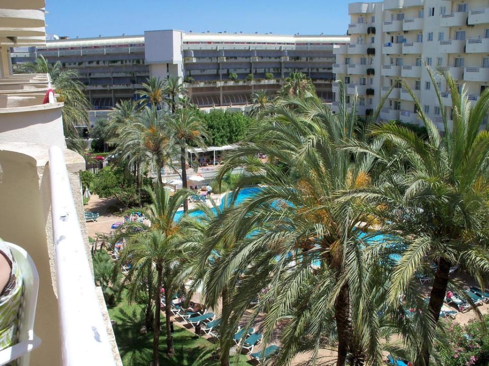 Cool Protur Palmeras Playa Aparthotel