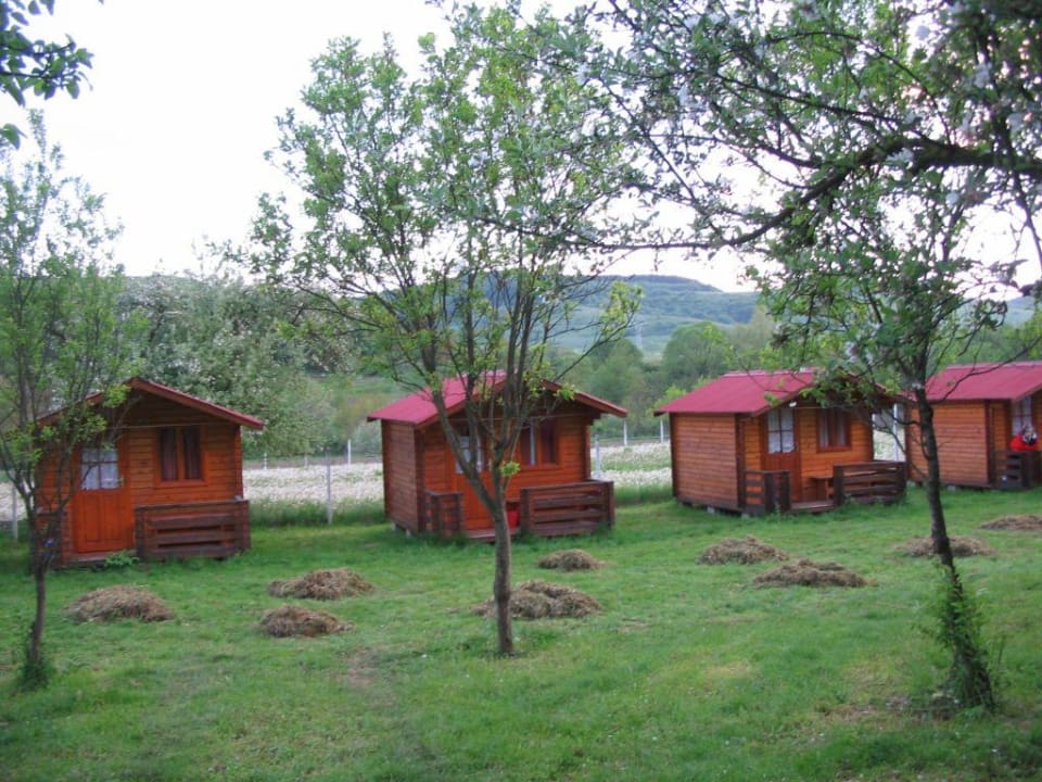 Wooden huts Guesthouse Criseni Kőrispatak