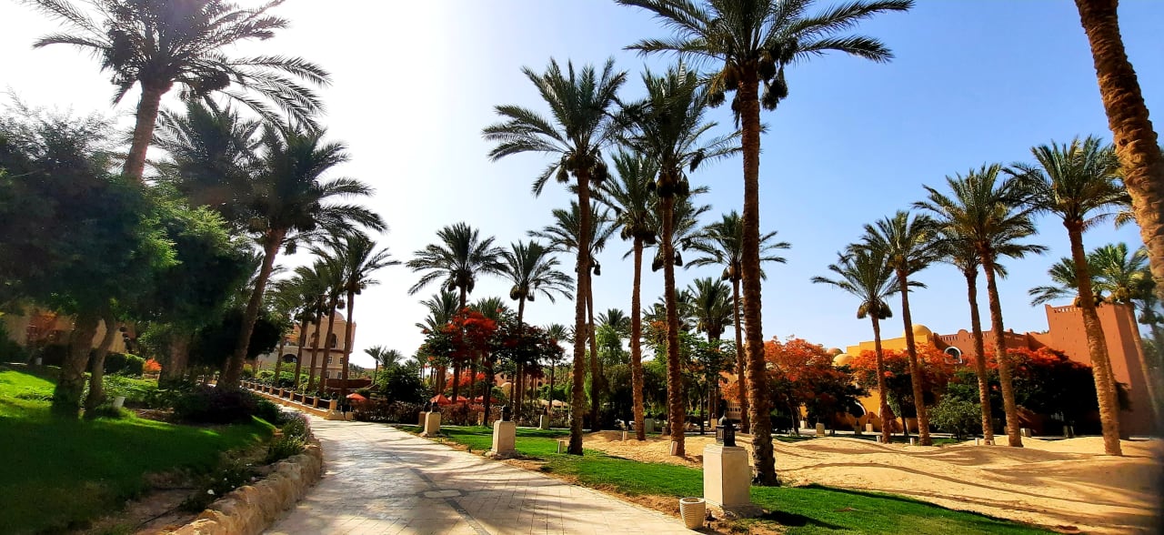 Gartenanlage Makadi Palace