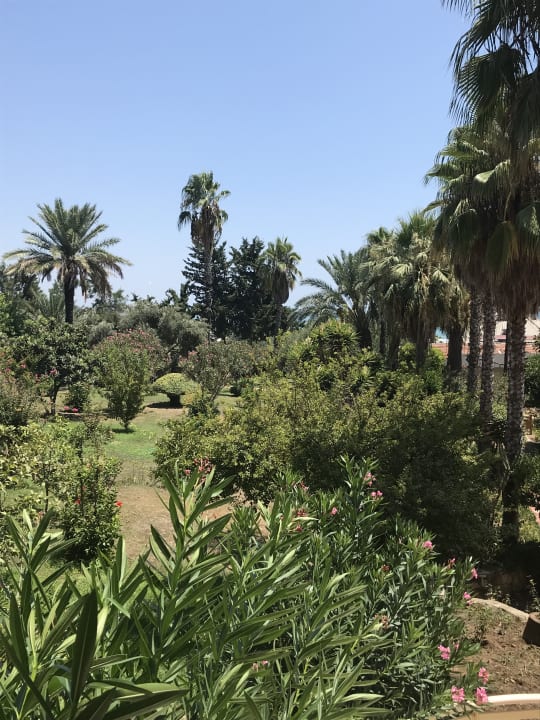 Gartenanlage Hotel Defne Garden