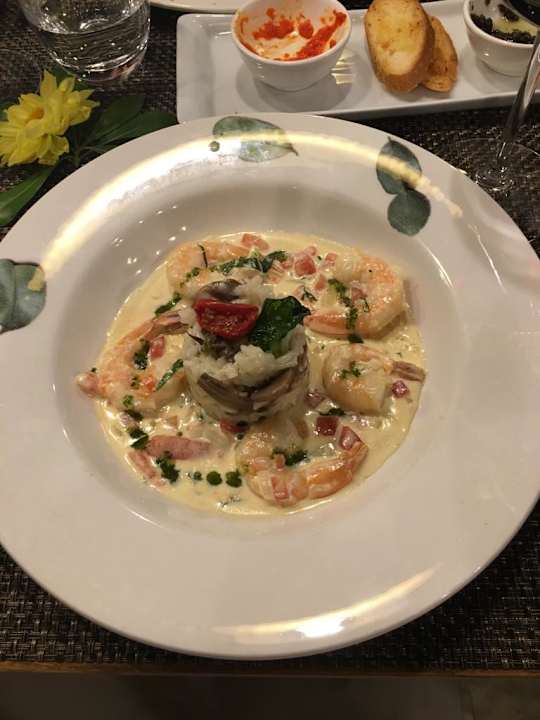 Gastro Acanthus Cennet Barut Collection