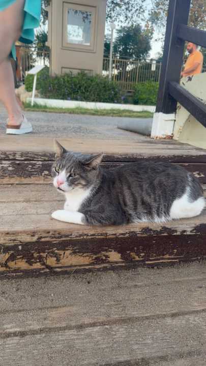 Gartenanlage Side Star Elegance