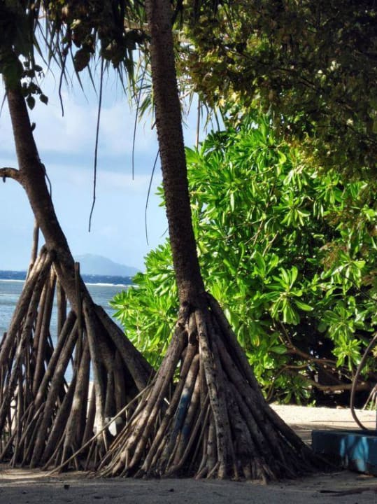 Am Strand Hotel Siladen Resort & Spa