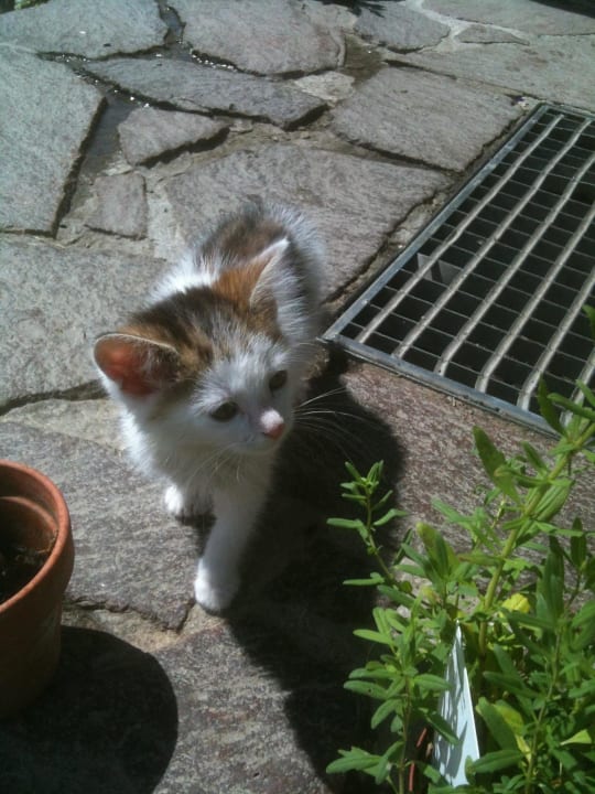 Lea Naturhaus Lehnwieser