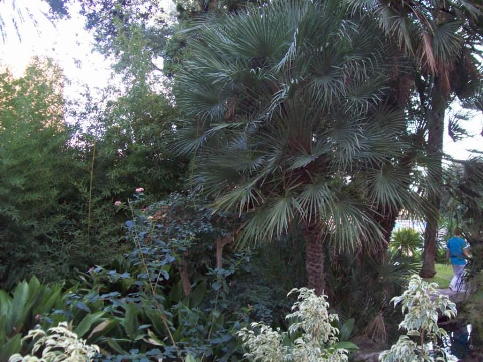 Hotel Siroco Hotel Best Siroco